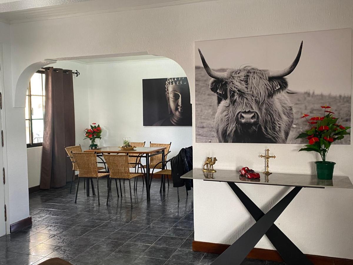 Hollywood Villa Campanário Eksteriør billede