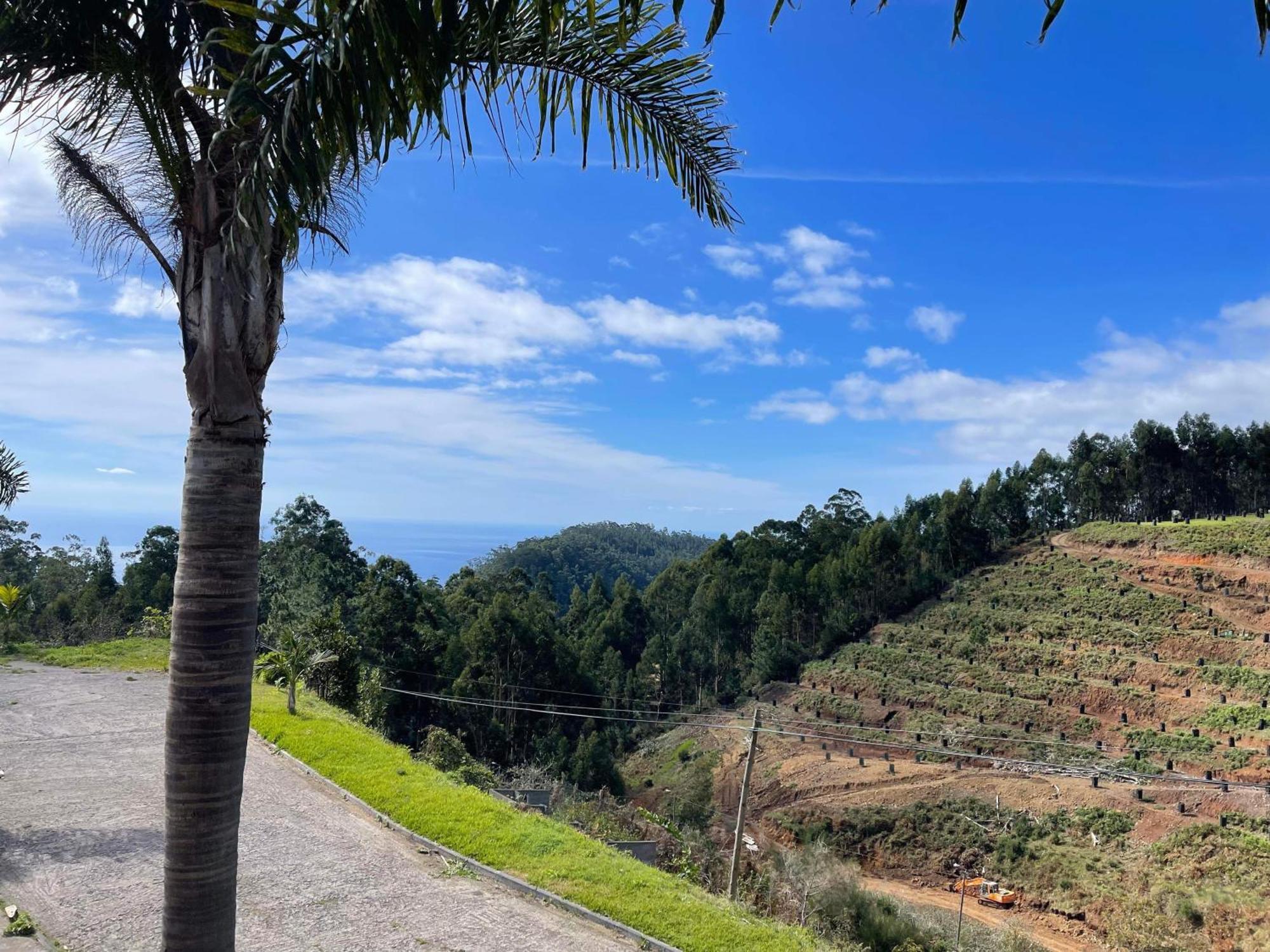Hollywood Villa Campanário Eksteriør billede