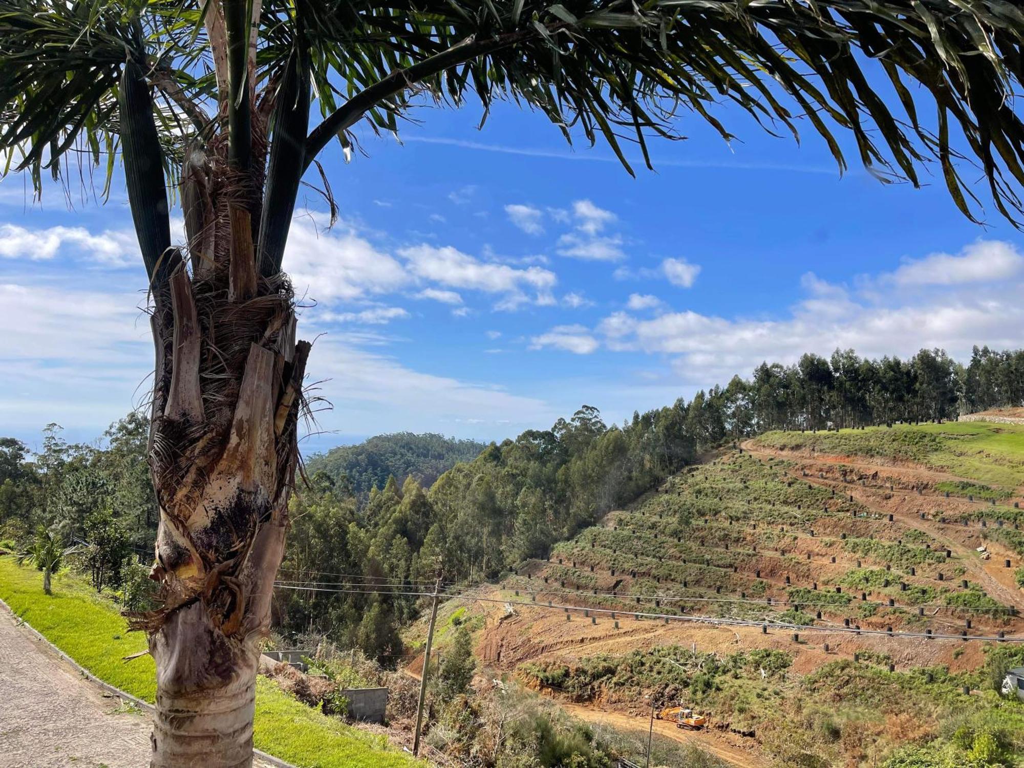 Hollywood Villa Campanário Eksteriør billede